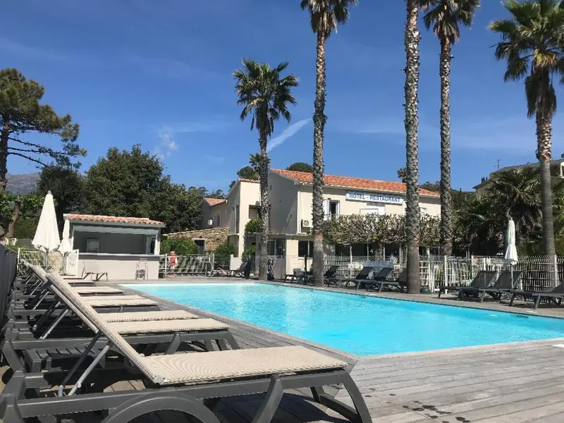 Transats gris alignés au bord d'une piscine turquoise sous des palmiers.
