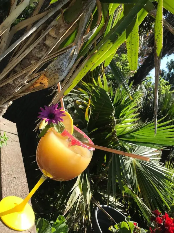 Un cocktail exotique dans un verre en forme de noix de coco, décoré de fruits et de fleurs.