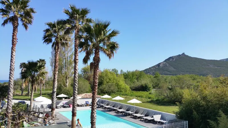 Vue aérienne d'une piscine entourée de transats et de palmiers, avec une colline en arrière-plan.