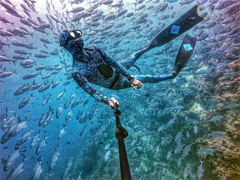 Un nageur en combinaison s'immerge au milieu d'un banc de poissons.