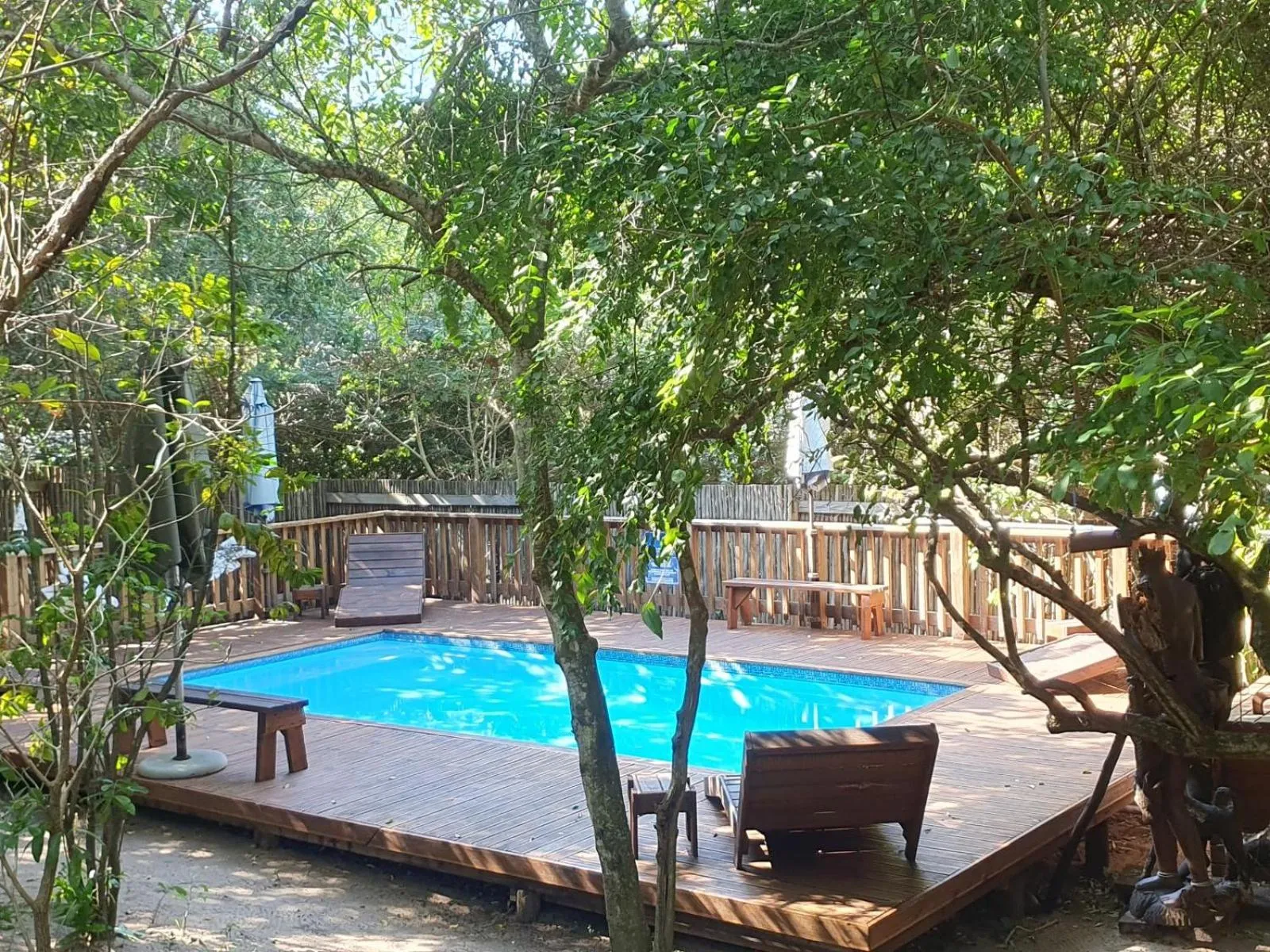 Une piscine rectangulaire entourée d'une terrasse en bois et de végétation luxuriante.