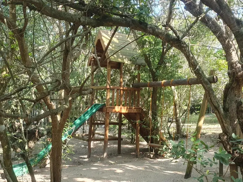 Structure de jeu en bois avec toboggan dans un jardin ombragé.