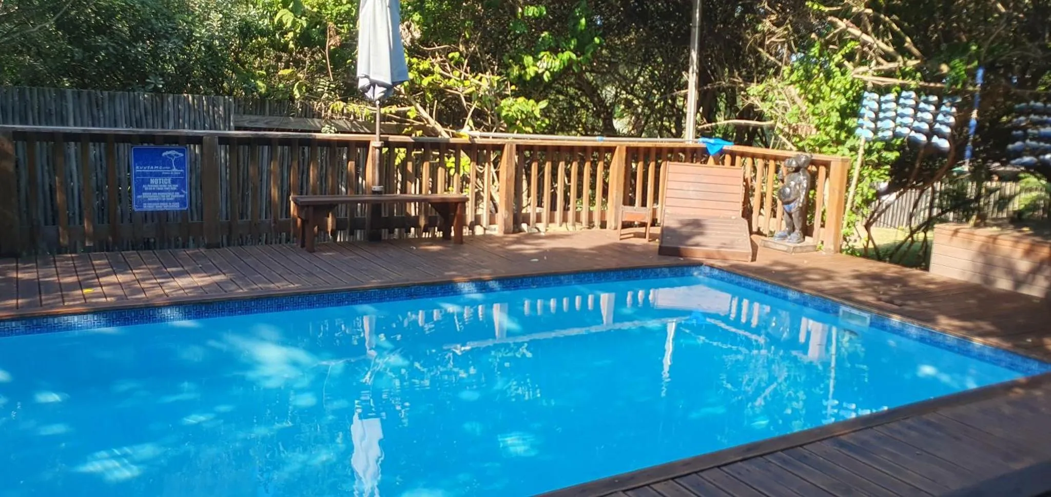 Une piscine rectangulaire entourée d'une terrasse en bois et de végétation.