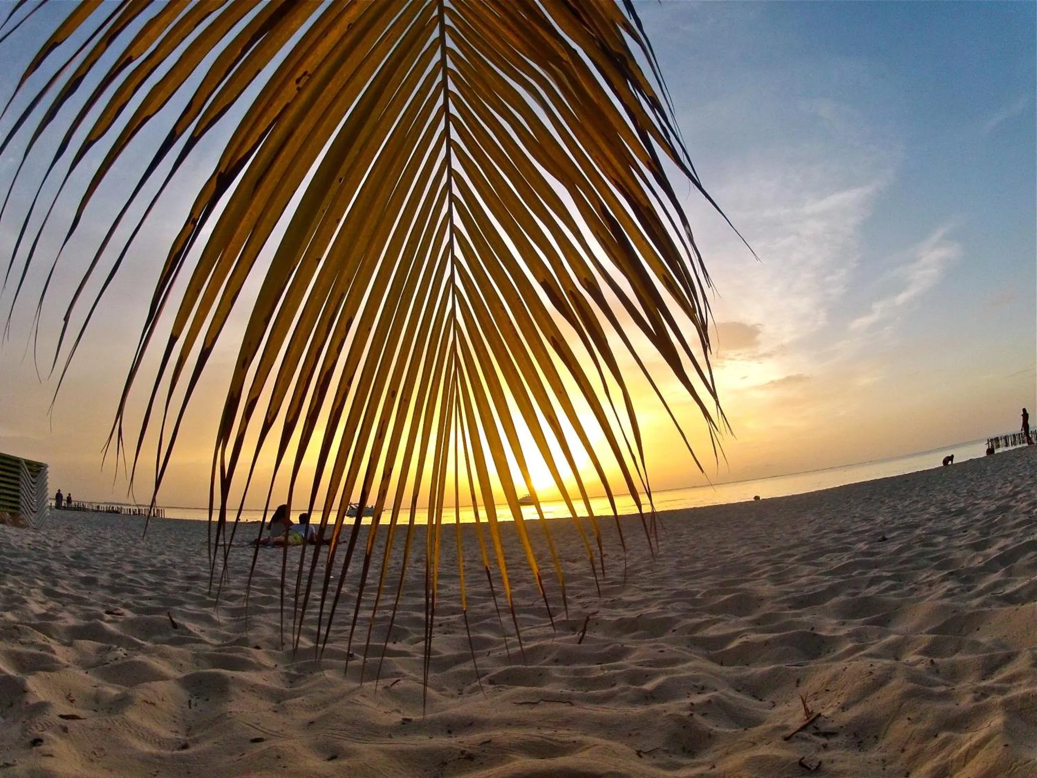 Coucher de soleil sur une plage de sable fin avec des palmiers.