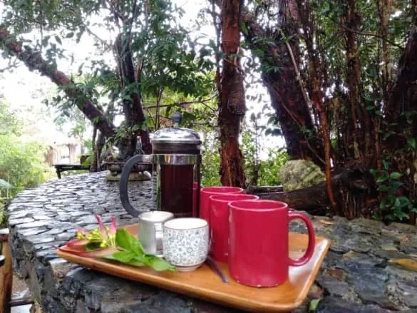 Une table en bois présente un service à thé avec une cafetière et des tasses rouges.
