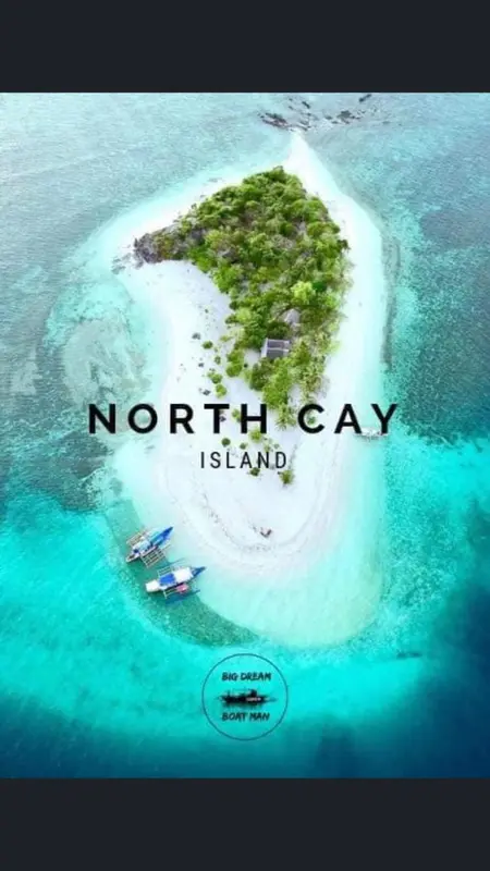 Vue aérienne d'une petite île tropicale entourée d'eaux turquoise et de bateaux.