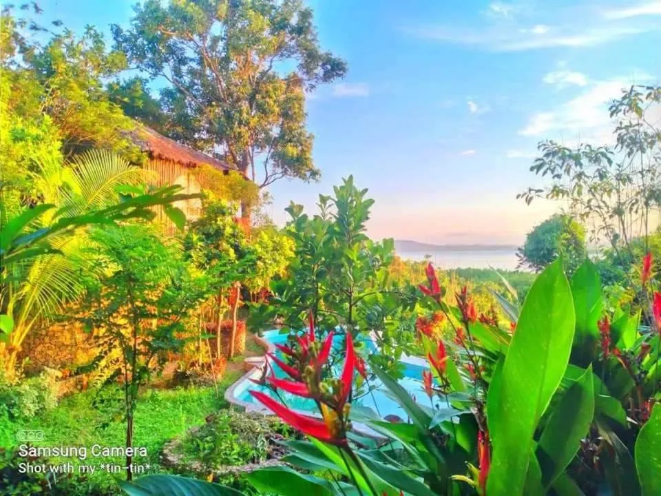Une piscine bordée de végétation luxuriante avec vue sur la mer.