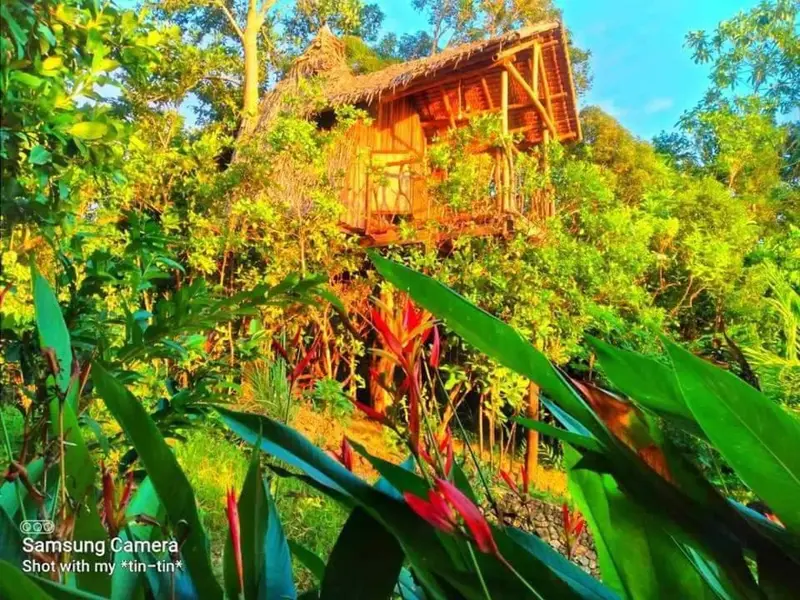Une cabane en bois sur pilotis se fond dans la végétation luxuriante.