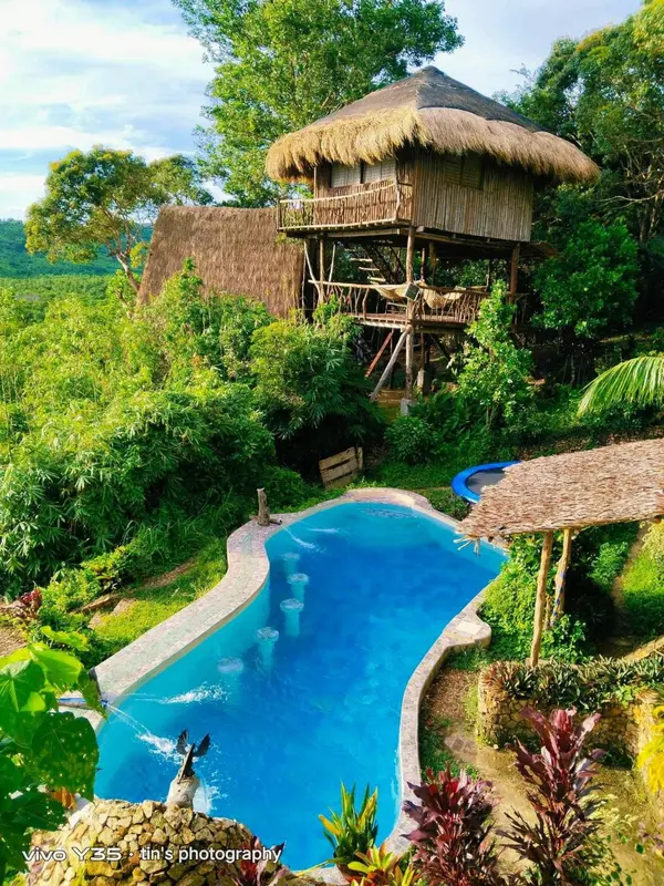 Une piscine naturelle avec des cascades et une cabane sur pilotis dans un jardin tropical.