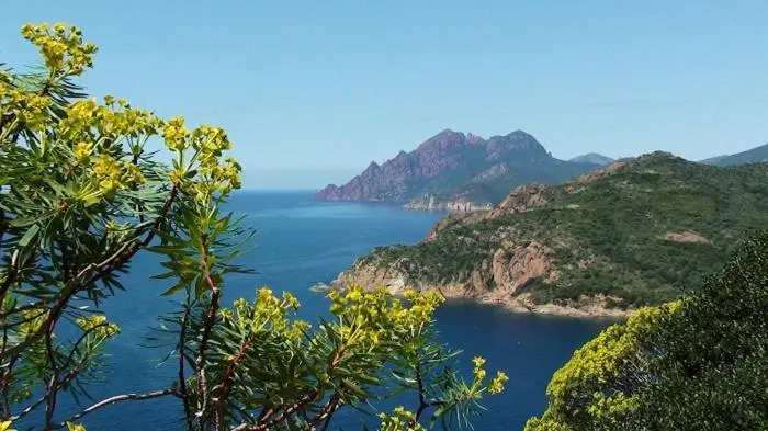 Vue panoramique sur une côte rocheuse et la mer turquoise.