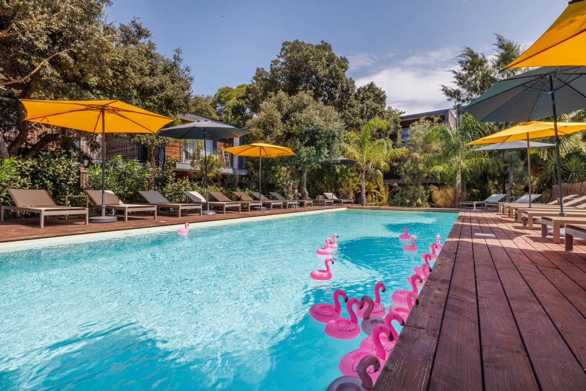 Une piscine rectangulaire bordée d'une terrasse en bois et de transats sous des parasols.