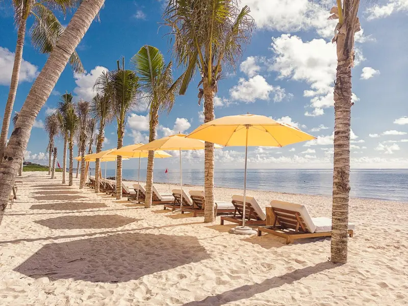 Transats jaunes sous des parasols sur une plage de sable blanc bordée de palmiers.