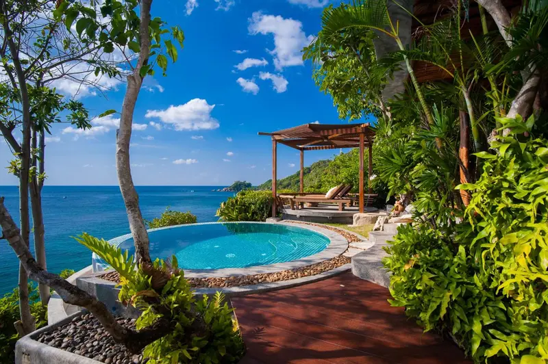 Petite piscine d'angle avec terrasse en bois et végétation luxuriante.