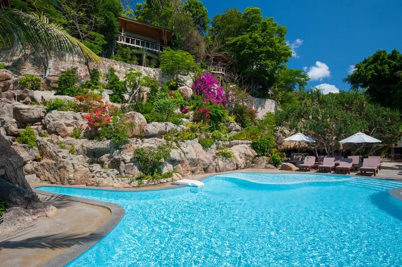 Une piscine turquoise bordée de végétation luxuriante et de chaises longues.