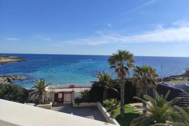 Vue sur la mer depuis une terrasse ensoleillée avec végétation tropicale.