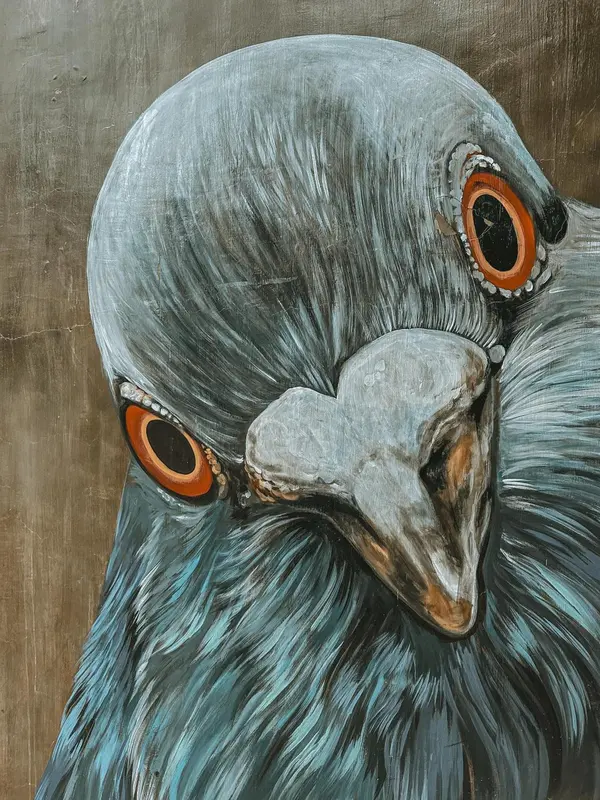 Portrait rapproché d'un pigeon aux yeux rouges vifs.
