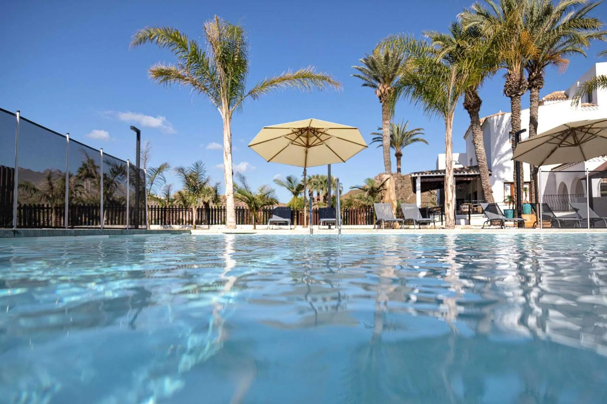 Vue sur une piscine turquoise bordée de palmiers et de transats sous des parasols.