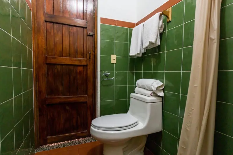 Une salle de bain carrelée de vert avec une porte en bois et des sanitaires.