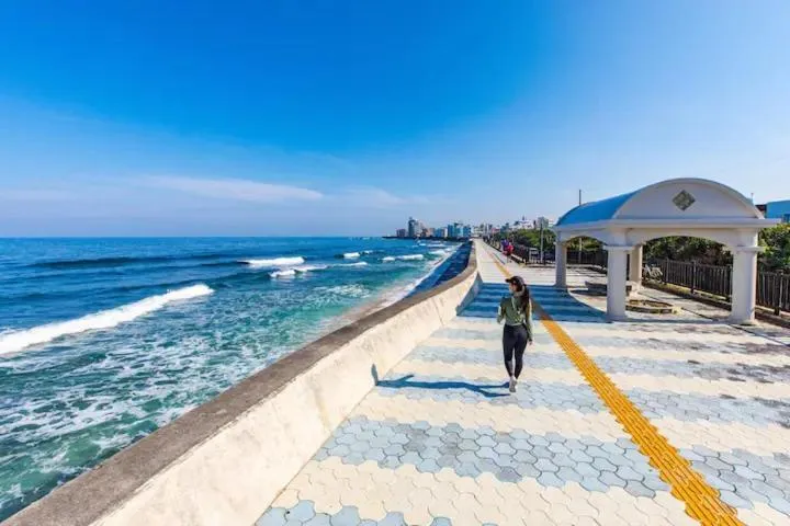 Une promenade en bord de mer avec une personne marchant le long d'une digue.