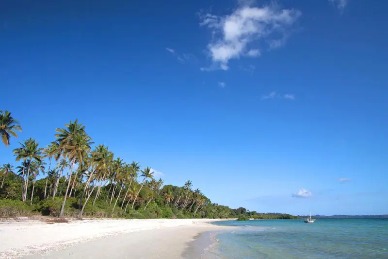 Une plage de sable blanc bordée de palmiers sous un ciel bleu.