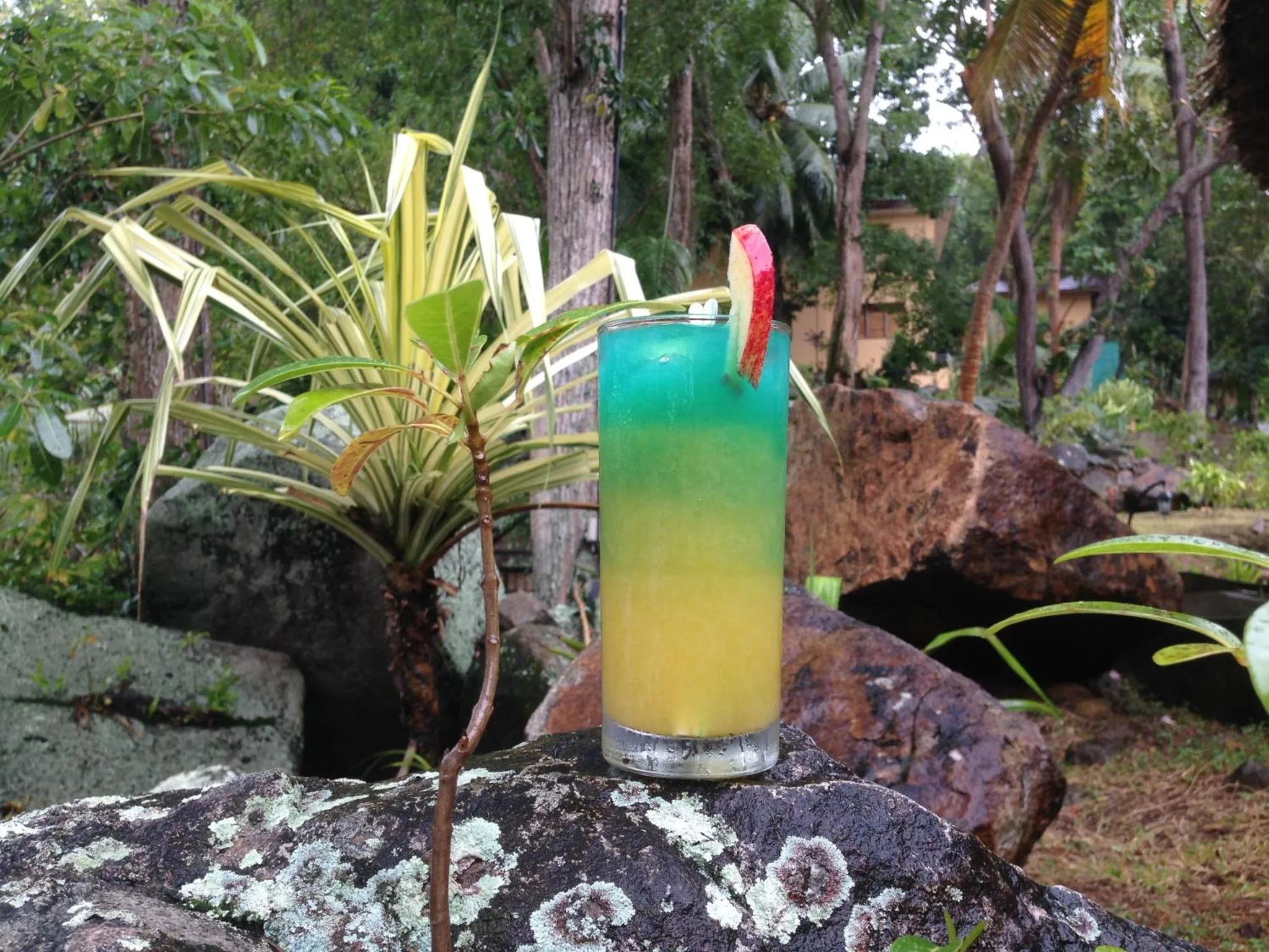 Un cocktail coloré est posé sur un rocher au milieu d'une végétation luxuriante.