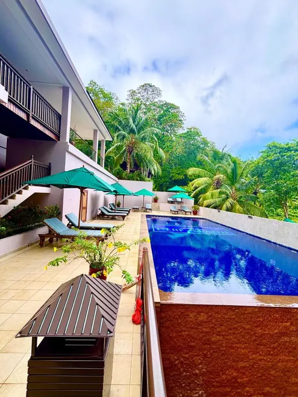 Terrasse avec piscine et mobilier de jardin face à une végétation luxuriante.