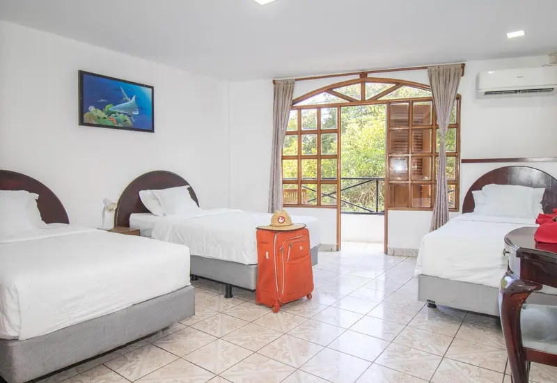 Chambre lumineuse avec deux lits simples et vue sur la végétation.