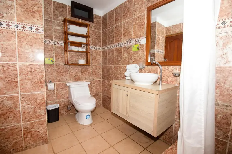 Une salle de bain carrelée avec douche et lavabo.