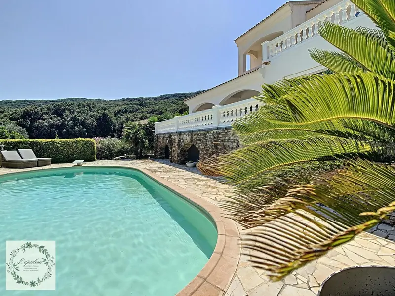 Une piscine turquoise bordée d'une terrasse ensoleillée avec vue sur la végétation.