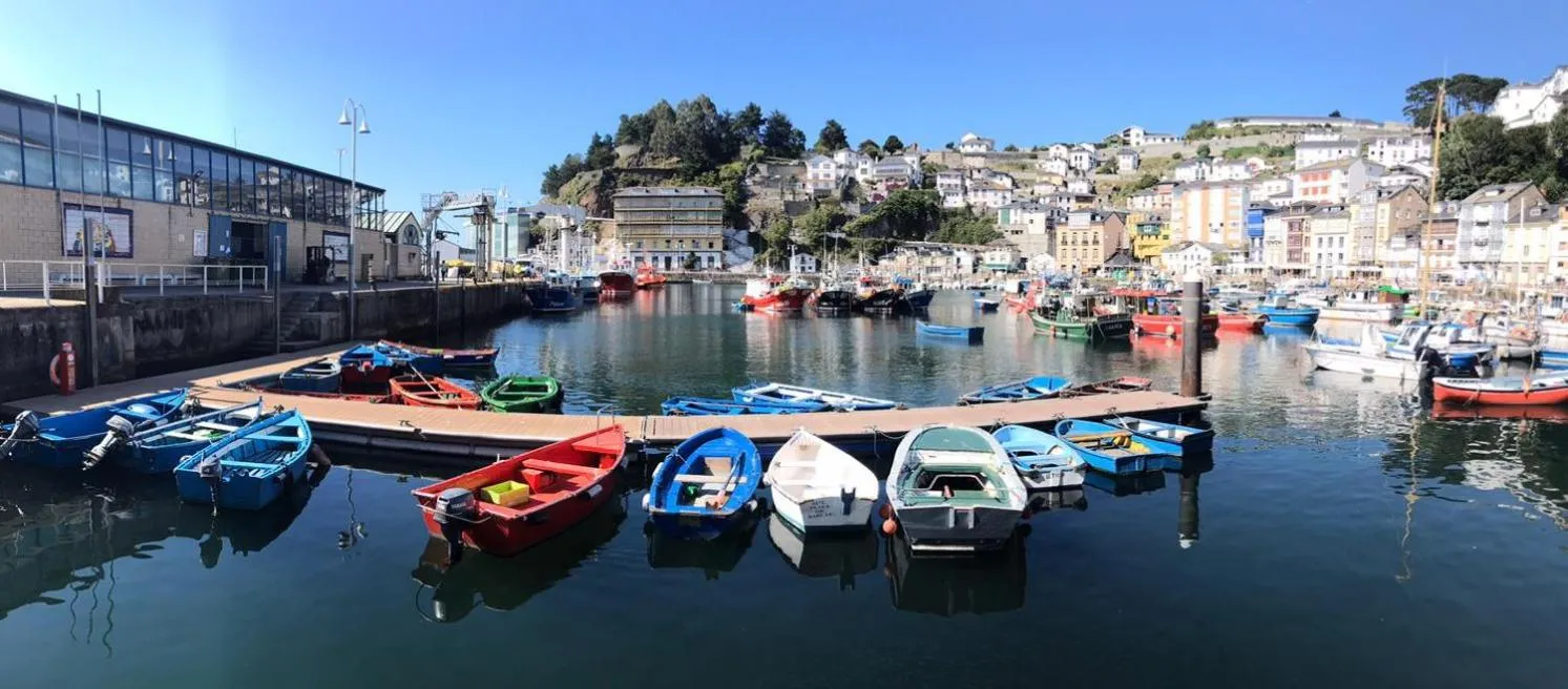 Port de plaisance ensoleillé avec des bateaux colorés amarrés le long d'un quai.