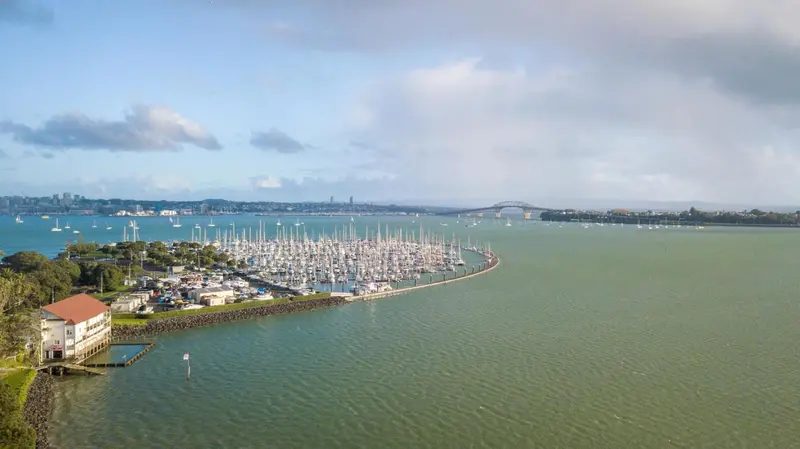 Vue aérienne d'une marina bordée d'arbres et d'une ville au loin.