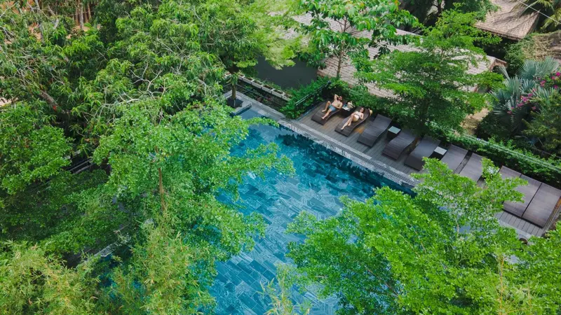 Vue aérienne d'une piscine rectangulaire entourée de végétation luxuriante et de transats.