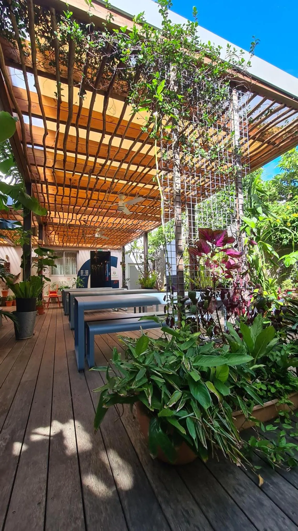 Terrasse ombragée avec mobilier en bois et végétation luxuriante.