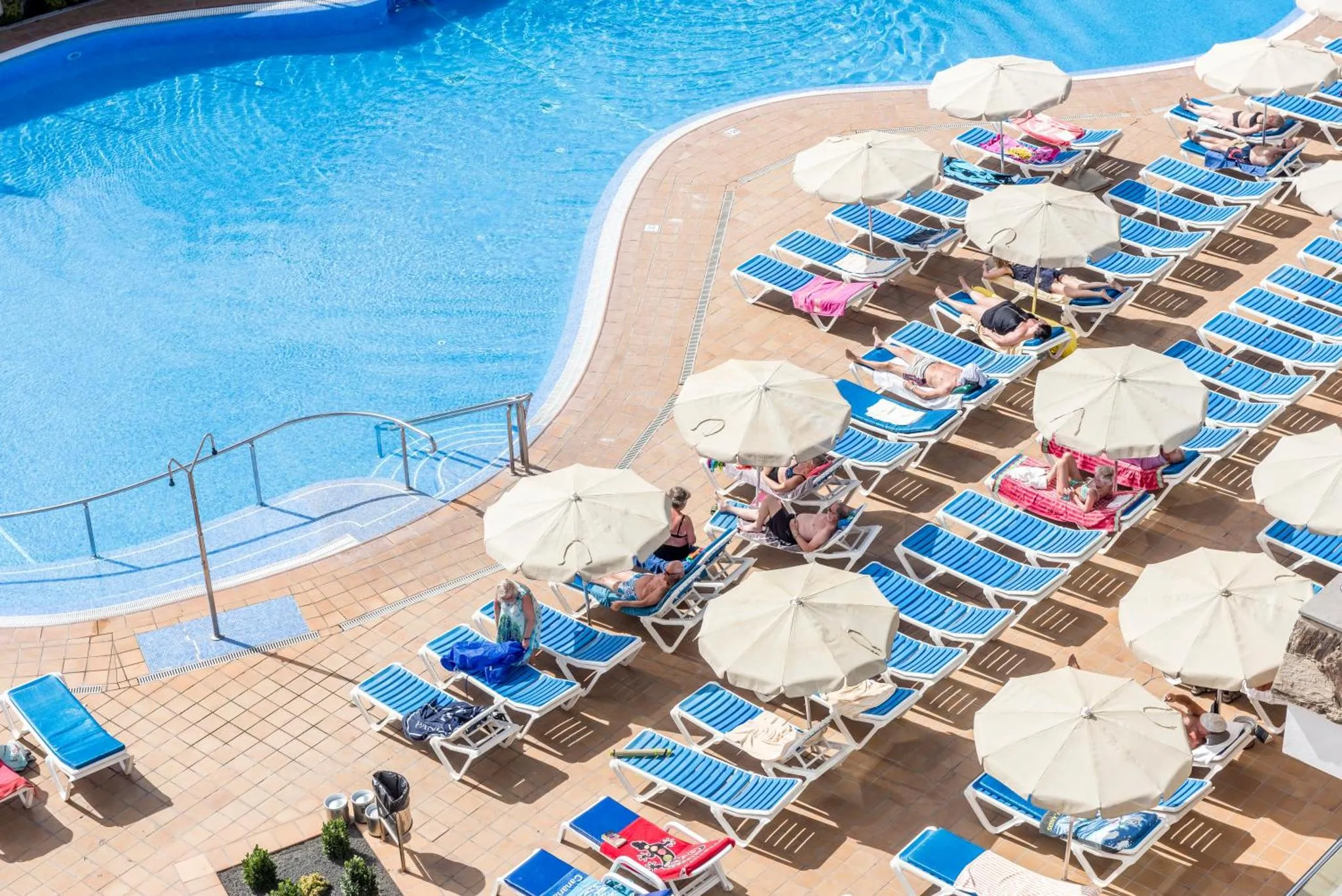 Transats blancs et parasols au bord d'une piscine ensoleillée.