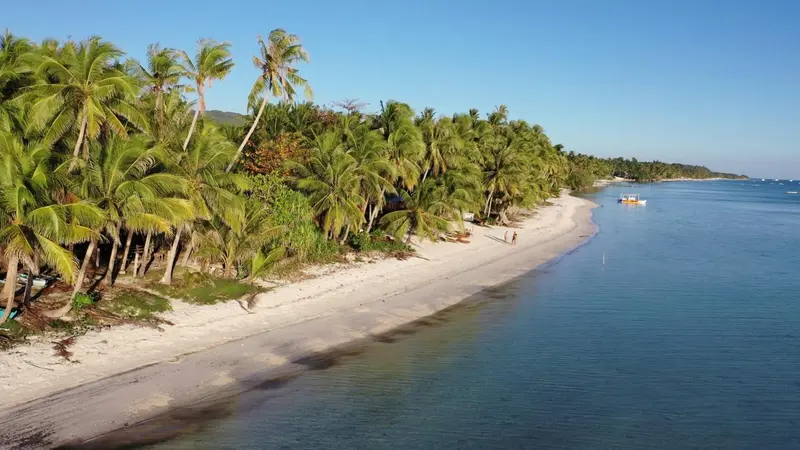 Une plage de sable blanc bordée de palmiers sous un ciel bleu.