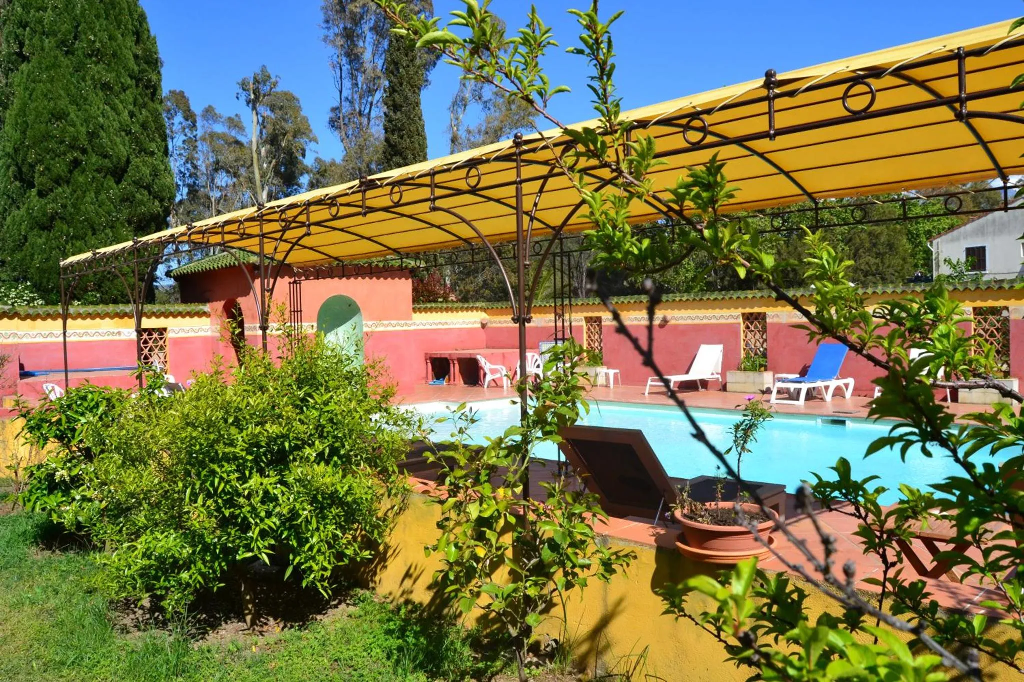 Une piscine rectangulaire entourée d'une terrasse ensoleillée et de végétation luxuriante.