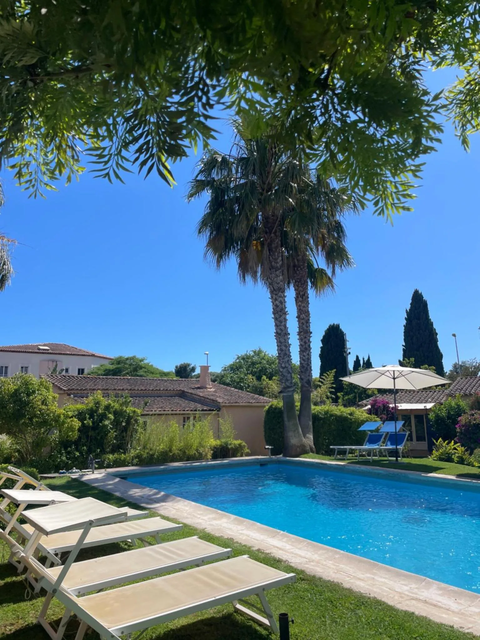 Transats alignés au bord d'une piscine turquoise sous des palmiers.