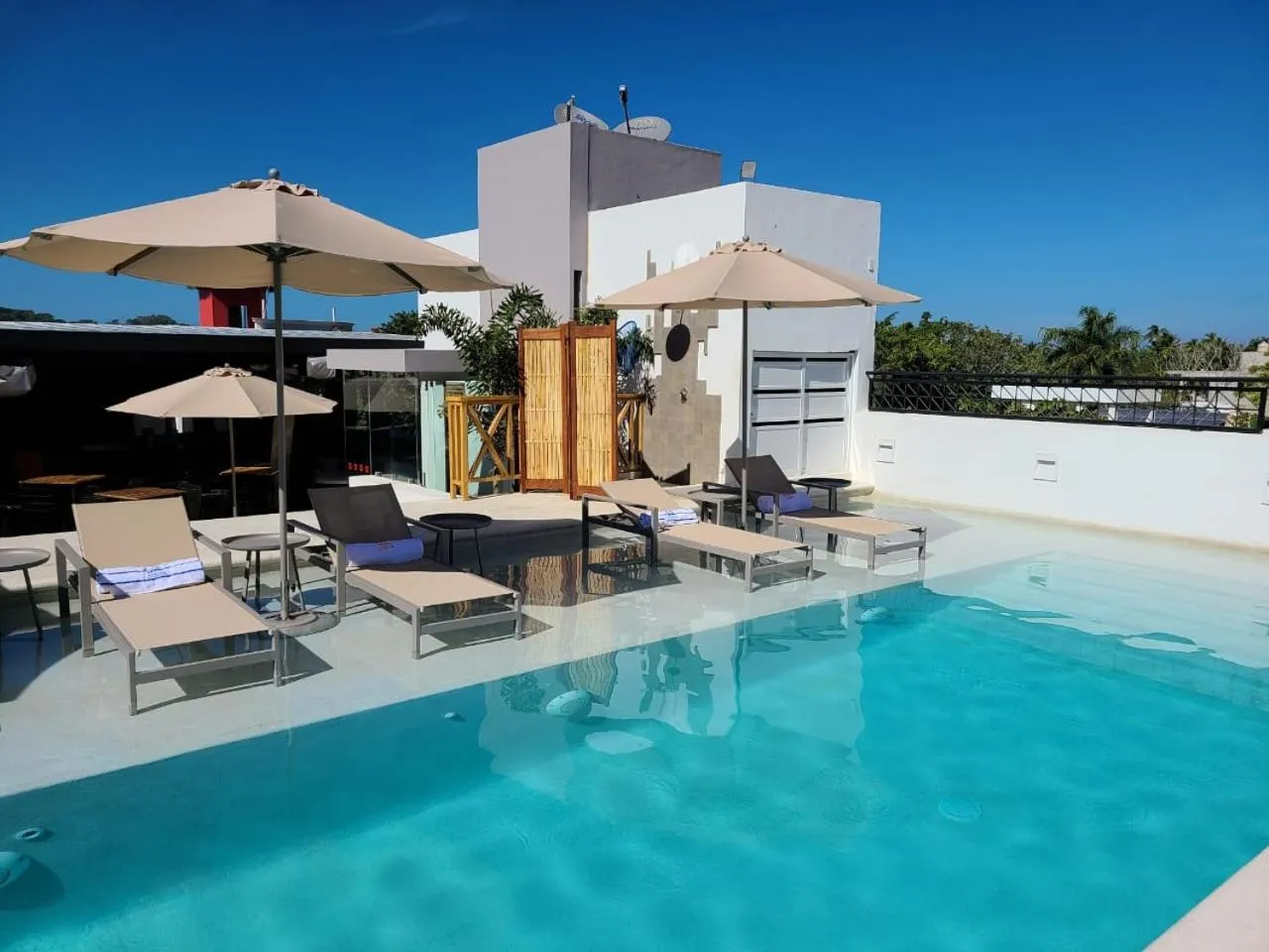 Transats et parasols bordent une piscine rectangulaire sur une terrasse ensoleillée.