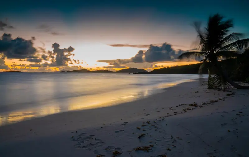 Coucher de soleil sur une plage tropicale avec des palmiers.