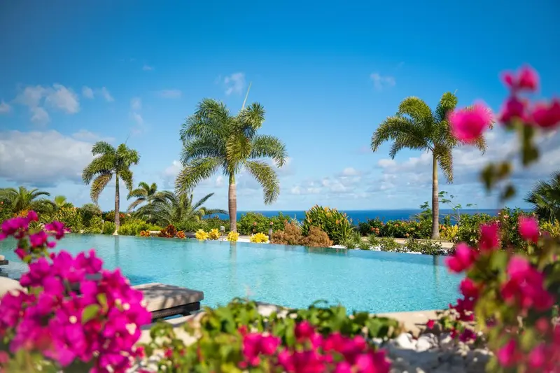Une piscine turquoise bordée de végétation luxuriante offre une vue sur la mer.