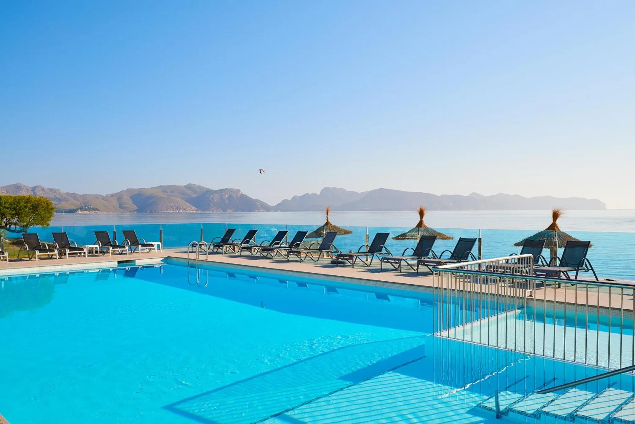 Transats alignés au bord d'une piscine turquoise face à la mer.