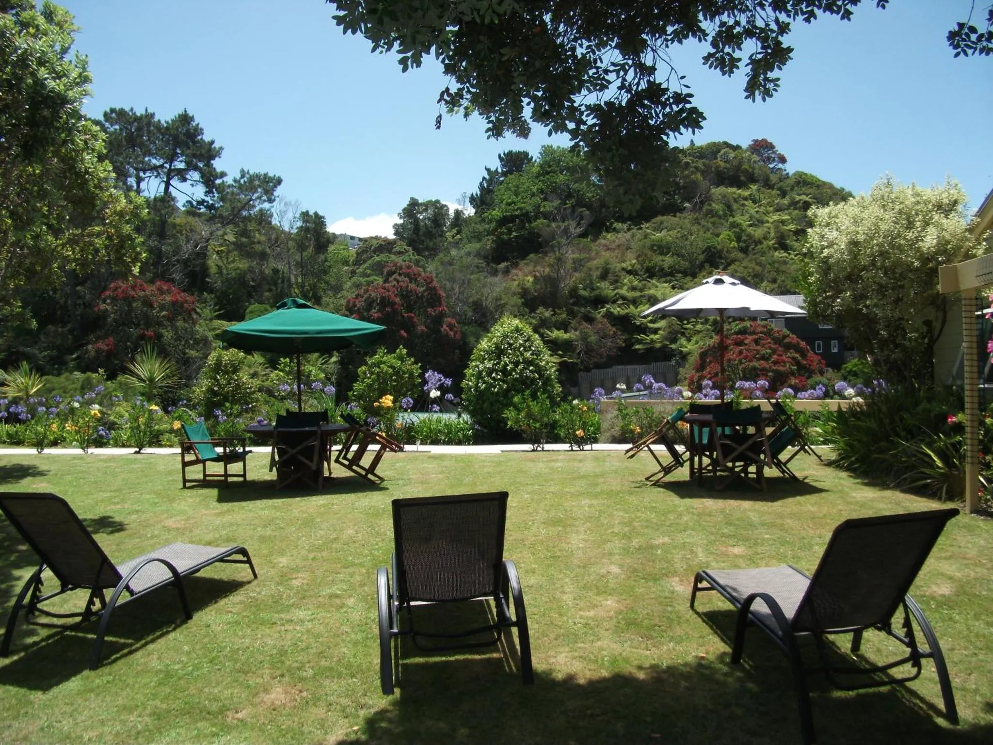 Jardin verdoyant avec des transats et des tables ombragées.