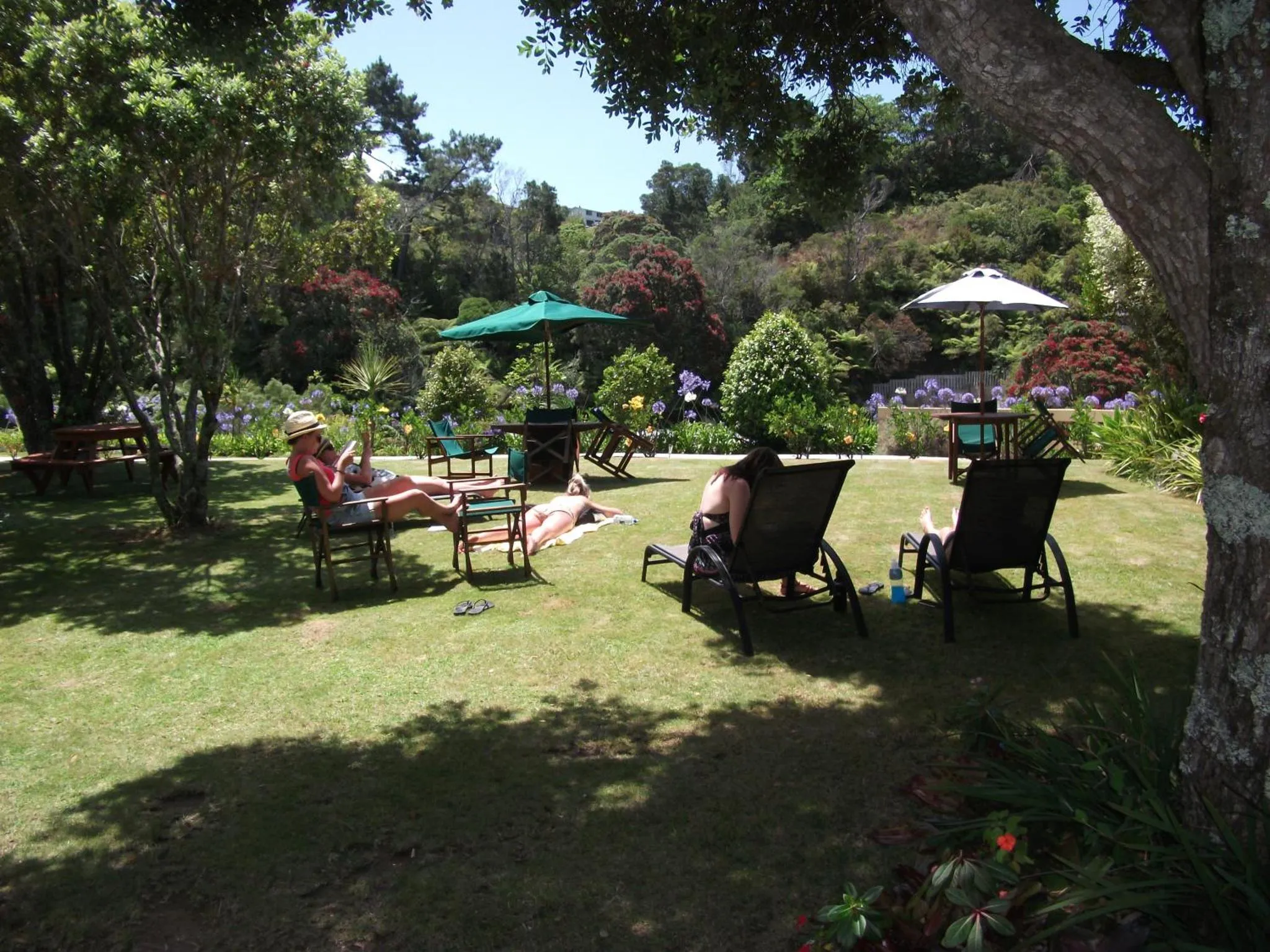 Personnes se relaxant sur des transats dans un jardin verdoyant.