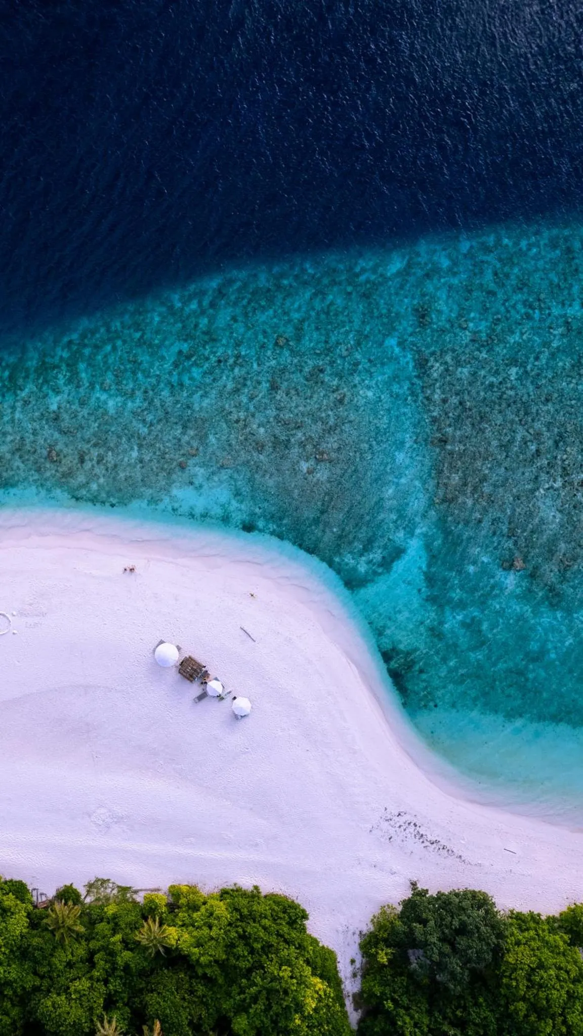 Plage de sable blanc bordée d'une eau turquoise et d'une végétation luxuriante.