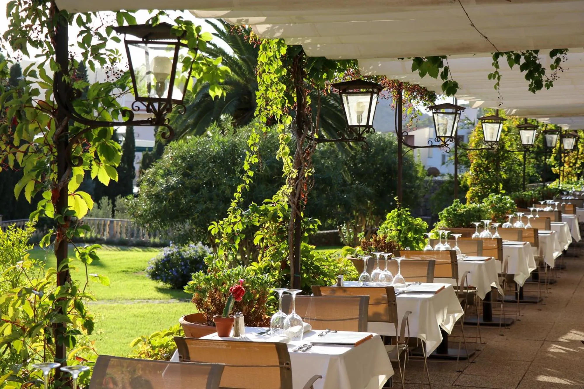 Terrasse ombragée avec tables dressées et végétation luxuriante.