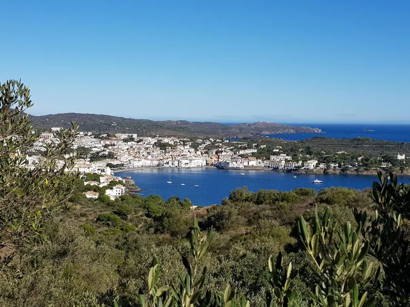 Vue aérienne d'une ville côtière et de ses environs verdoyants.