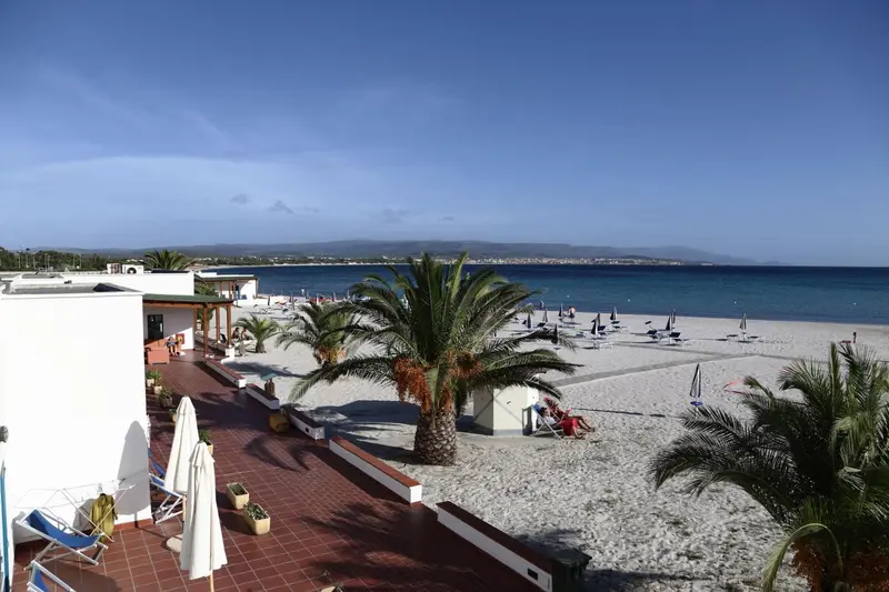 Vue d'une plage de sable fin bordée de palmiers et de transats.
