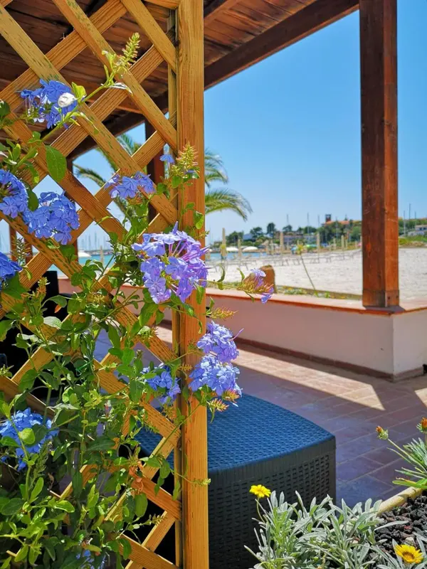Pergola fleurie surplombe une terrasse ensoleillée avec vue sur la plage.