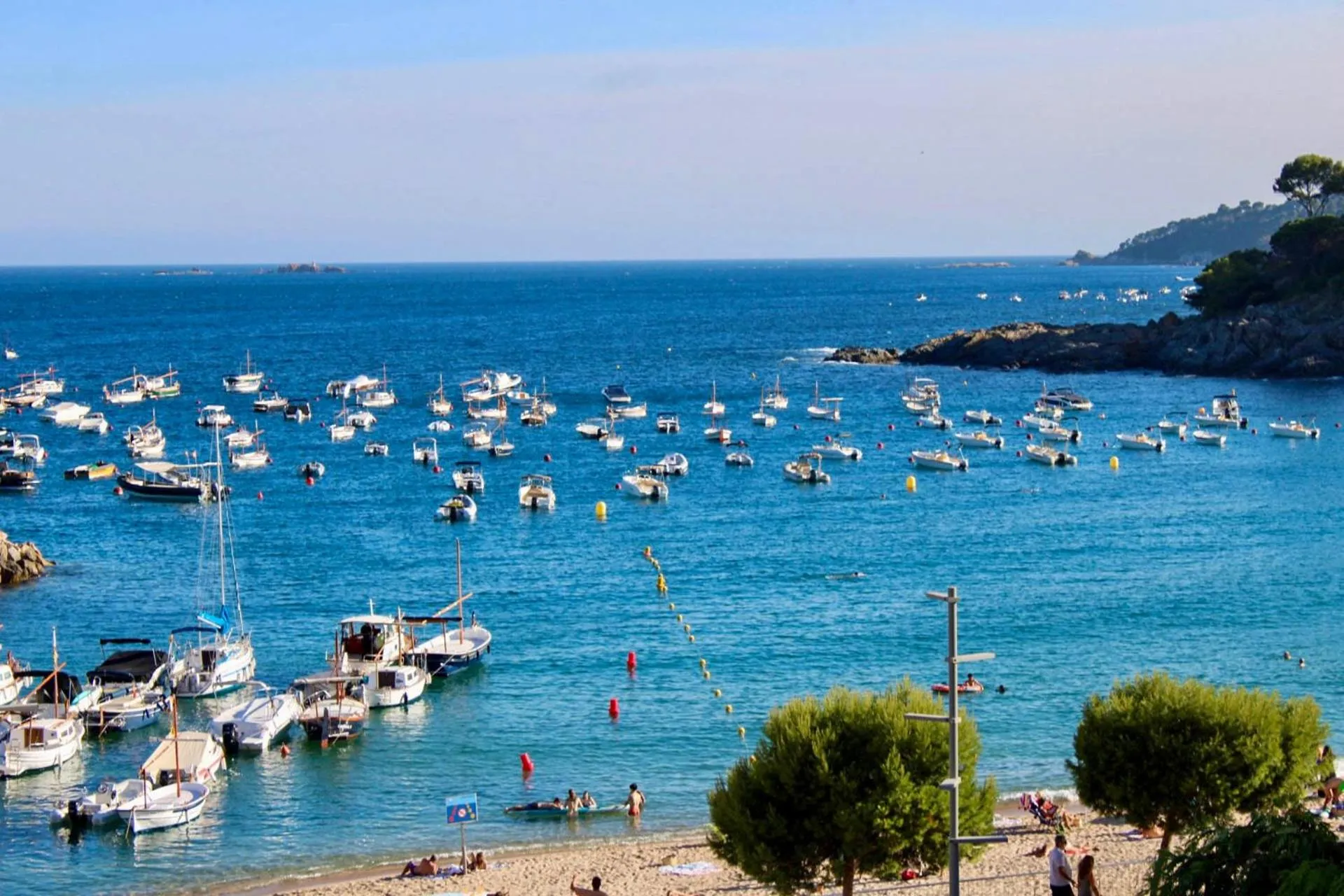 Une vue sur une baie ensoleillée avec de nombreux bateaux amarrés.