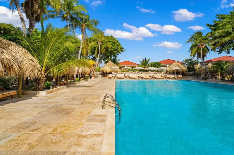 Une piscine rectangulaire bordée d'une terrasse carrelée, avec des palmiers et des parasols en toile.